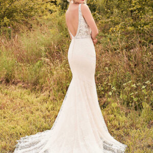 Back view 66191 Lillian-West gown no sleeves
